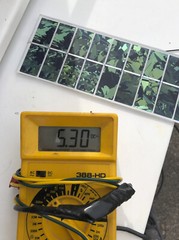 Mini Colored DIY 5v Solar Panel USB Cellphone 224 x 84mm 8.8×3.5 in. MULTIPACK